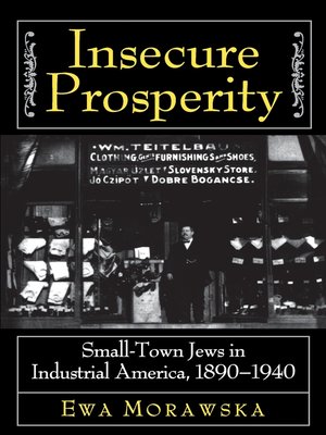 cover image of Insecure Prosperity